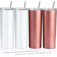 20 oz Skinny Stainless Steel Double Wall Insulated Tumbler With Lid Straw and Cleaning Brush